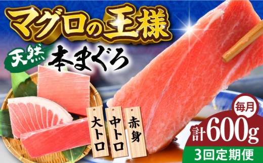 【全3回定期便】天然 本まぐろ 大トロ・中トロ・赤身（約200ｇ×3柵）約600ｇ  鮪 マグロ 魚 刺身 横須賀【横須賀商工会議所 おもてなしギフト事務局（本まぐろ直売所）】 [AKAK074] 1529023 - 神奈川県横須賀市