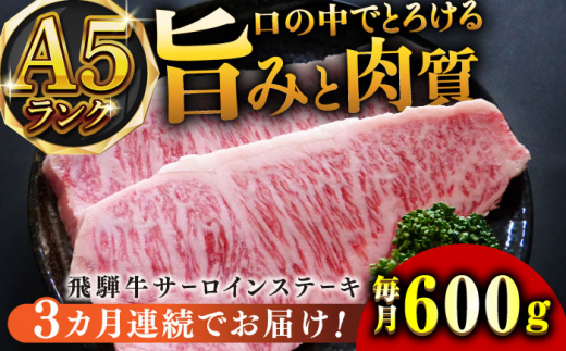 【3回定期便】A5等級飛騨牛サーロインステーキ用600g 和牛 BBQ 霜降り 岐阜市/小川ミート [ANAJ007]