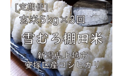 定期便 3ヶ月 雪むろ 棚田米 コシヒカリ 5kg 玄米 [定期便]毎月発送(計3回) こしひかり 米 お米 こめ おすすめ ユキノハコ 新潟 新潟県産 にいがた 上越 上越産 713779 - 新潟県上越市