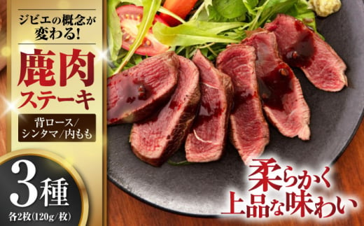 鹿肉 ステーキ3種セット(背ロース120g×2枚・シンタマ120g×2枚・内もも120g×2枚)[喜茂別町][EBIJIN] ジビエ 鹿 モモ セット 詰め合わせ ステーキ 赤身 冷凍配送 北海道 [AJAO005] 44000 44000円