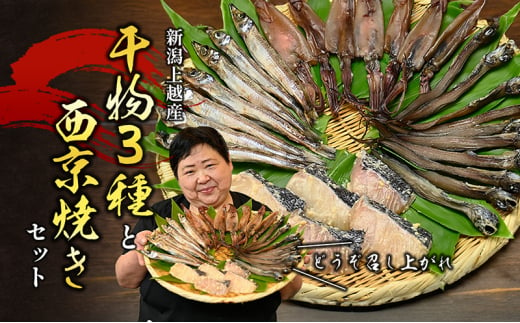 干物 3種と西京焼き セット 魚 加工品 713391 - 新潟県上越市