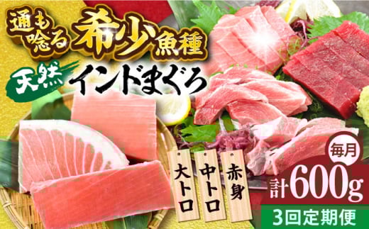 【全3回定期便】天然 まぐろ 大トロ・中トロ・赤身（約200ｇ×3柵）約600ｇ 鮪 マグロ 魚 刺身 横須賀【横須賀商工会議所 おもてなしギフト事務局（本まぐろ直売所）】 [AKAK080] 1529029 - 神奈川県横須賀市