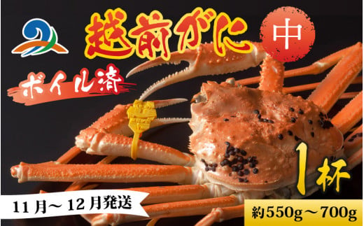 越前港より直送！ 越前がに 中 (約550g～700g) 1杯  718746 - 福井県南越前町