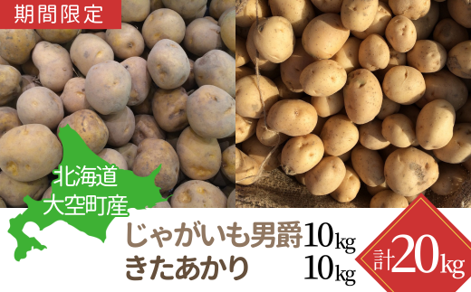 【期間限定】北海道大空町産じゃがいも20kg 【 ふるさと納税 人気 おすすめ ランキング じゃがいも ジャガイモ いも 芋 男爵 きたあかり カレー 北海道産 野菜 旬 北海道 大空町 送料無料 】 OSA041 1434663 - 北海道大空町