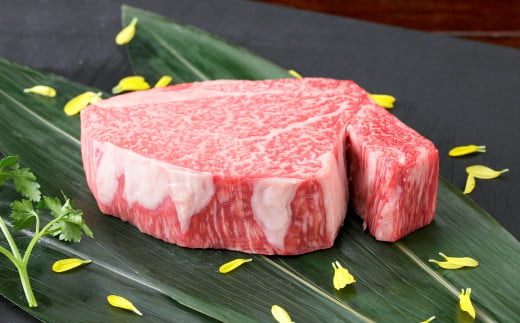 くまもと黒毛和牛 ヒレステーキ 200g 国産 熊本 和牛 牛肉 牛 肉 ヒレ お肉 冷凍