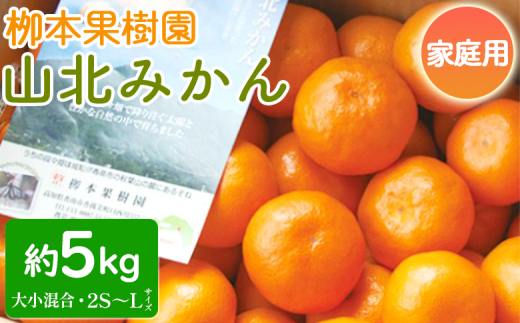 みかん 5kg 山北みかん 家庭用 柳本果樹園の山北みかん 大小混合(2S〜L) - 果物 フルーツ 柑橘類 温州みかん ミカン 蜜柑 甘い おいしい 訳あり キズ 大小混合 期間限定 季節限定 数量限定 高知県 香南市 yg-0013