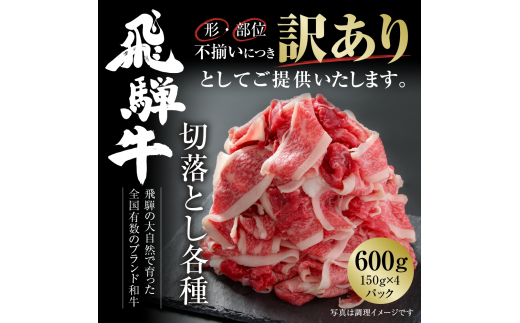 訳あり 飛騨牛 切落とし 600g（150g×4パック） 冷凍真空パック | 肉 お肉 切り落とし すき焼き すきやき 黒毛和牛 和牛 個包装 小分け 人気 おすすめ 牛肉 ギフト お取り寄せ 7日以内お届け [S841] 1455188 - 岐阜県白川村