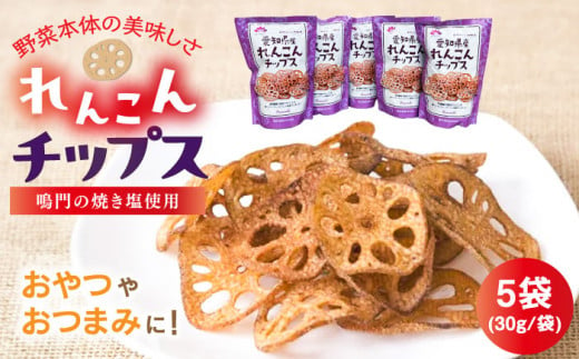 蓮根チップス 30g×5P 【清水食品株式会社】 れんこんチップ 野菜 愛知県産 野菜 産地直送 愛西市/ 清水食品株式会社 [AEAJ003] 1251444 - 愛知県愛西市