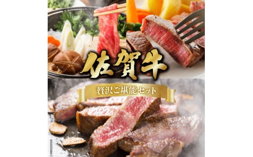 佐賀牛満喫!ヒレ&サーロインステーキ&リブローススライスセット/ ふるさと納税 お肉 肉 焼肉 焼き肉 ロース スライス ステーキ 切り落とし リブロース 冷蔵 ギフト 贈り物 贈答品