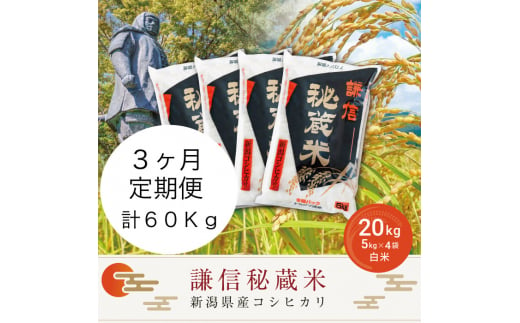 定期便3ヶ月連続発送（20kg×3回分）20kg 米 新潟県産 コシヒカリ  精白米 謙信秘蔵米  お米  こめ コメ おこめ おすすめ こしひかり 新潟 にいがた 新潟米 上越 上越産 上越米 ふるさと納税 定期便 人気 713911 - 新潟県上越市