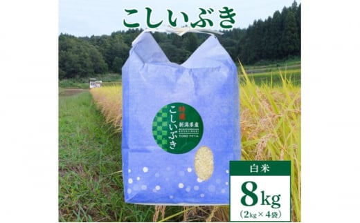 【数量限定】令和5年産　新潟上越清里東戸野産　新潟県限定品種こしいぶき8kg（2kg×4） 白米 おすすめ 新潟