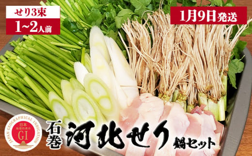 【1月9日発送】せり鍋 セット 1-2人前 せり 長ねぎ パックご飯 スープ 鶏肉 セリ セリ鍋 河北せり 野菜 鍋 1435097 - 宮城県石巻市