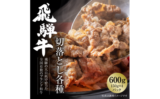 飛騨牛 切落とし 600g（約150g×4パック） 冷凍真空パック | 肉 お肉 すき焼き すきやき しゃぶしゃぶ 黒毛和牛 和牛 個包装 小分け 人気 おすすめ 牛肉 ギフト お取り寄せ 7日以内お届け [S831] 1455179 - 岐阜県白川村