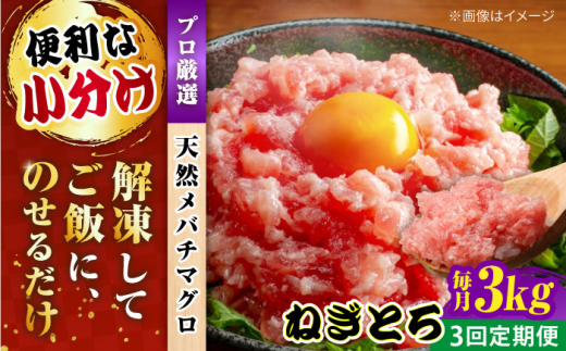 【全3回定期便】まぐろ ねぎとろ 約3kg（約250g×12パック） 鮪 マグロ 魚 ネギトロ 横須賀【横須賀商工会議所 おもてなしギフト事務局（本まぐろ直売所 横須賀本店）】 [AKAK041]