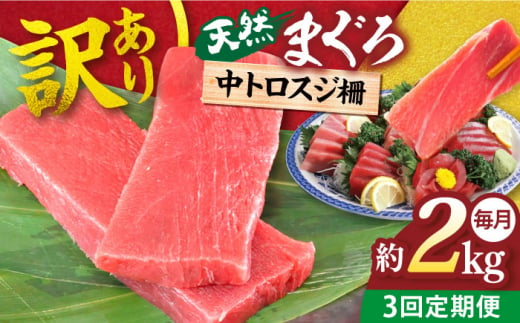 【全3回定期便】【訳あり】天然 本まぐろ 中トロスジ（約2kg） 鮪 マグロ 魚 刺身 横須賀【横須賀商工会議所 おもてなしギフト事務局（本まぐろ直売所）】 [AKAK071] 1529020 - 神奈川県横須賀市