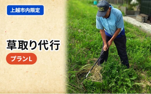 草取り 代行プラン L（上越市内限定）草刈り 手作業 雑草 除草 上越市 713469 - 新潟県上越市