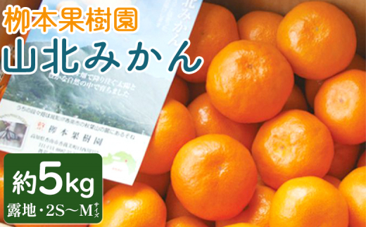 栁本果樹園の山北みかん 5kg(露地・2S～M) - 果物 フルーツ 柑橘類 温州みかん ミカン 蜜柑 甘い おいしい のし 贈り物 期間限定 季節限定 数量限定 高知県 香南市 yg-0011 1436318 - 高知県香南市
