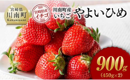 川南町産　いちご「やよいひめ」900ｇ（450ｇ×2）【 期間限定 果物 イチゴ 苺 やよいひめ フルーツ 】