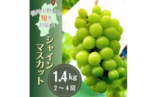 産地直送!信州中野市産シャインマスカット 1.4kg以上(2～4房)【1534768】 1436596 - 長野県中野市