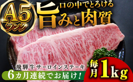 【6回定期便】A5等級飛騨牛サーロインステーキ用1kg 和牛 BBQ 霜降り 岐阜市/小川ミート [ANAJ011]