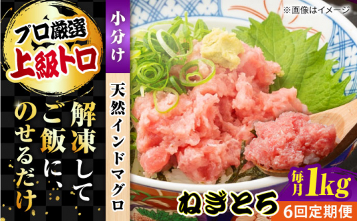 【全6回定期便】天然 まぐろ ねぎとろ 約1kg（約250g×4パック） 鮪 マグロ 魚 ネギトロ 横須賀【横須賀商工会議所 おもてなしギフト事務局（本まぐろ直売所 横須賀本店）】 [AKAK045]