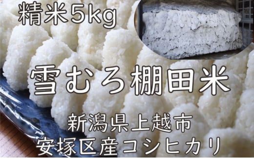 米 雪むろ 棚田米 コシヒカリ 5kg 精白米 お米 こめ こしひかり ユキノハコ 新潟 新潟県産 上越 上越市 713258 - 新潟県上越市