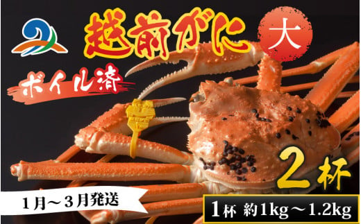 【先行予約】越前港より直送！ 越前がに 大 (約1kg～1.2kg) 2杯 【1月～3月発送予定】 718757 - 福井県南越前町