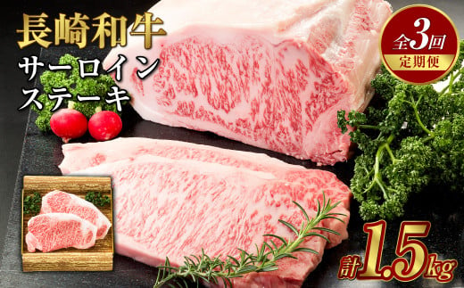 [全3回定期便]長崎和牛 サーロイン ステーキ 250g×2枚 牛肉 肉 牛 和牛 国産