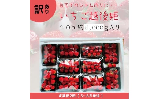 定期便 2回【2025年5～6月発送】訳あり越後姫 約200g×10定期配送 越後姫 えちごひめ 苺 いちご 訳あり 新潟 1311862 - 新潟県上越市