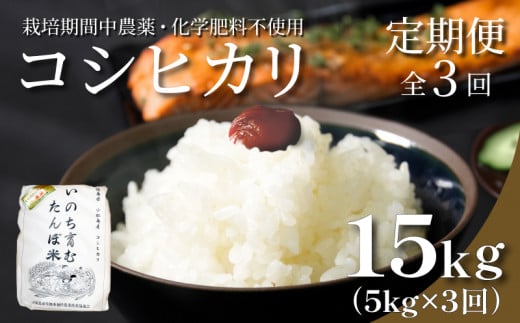 [定期便3回] 新米 米 コシヒカリ 計15kg 5kg×3回 精米したて お米 定期便 | 四国 徳島県 小松島 白米 栽培期間中無農薬 ふるさと納税 おいしい こめ おこめ 精米 国産 限定 ごはん ご飯 白飯 ゴハン ふるさと ランキング 人気 送料無料 国産 TGK 卵かけご飯 おにぎり いのち育む田んぼ米 生物多様性[北海道･東北･沖縄･離島への配送不可]