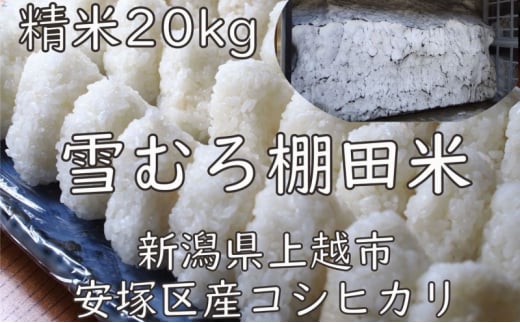 米 雪むろ 棚田米 コシヒカリ 20kg 精白米 こしひかり お米 こめ おすすめ ふるさと納税 ユキノハコ 新潟 新潟県産 にいがた 上越 上越産 713260 - 新潟県上越市