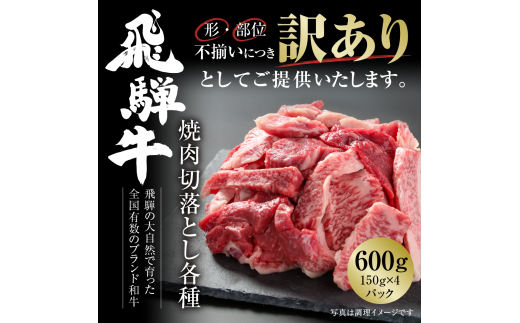 訳あり 飛騨牛 焼肉 切落とし 600g（150g×4パック） 冷凍真空パック | 肉 お肉 焼肉 焼き肉 やきにく 黒毛和牛 和牛 個包装 小分け 人気 おすすめ 牛肉 ギフト お取り寄せ 7日以内お届け [S843] 1455190 - 岐阜県白川村