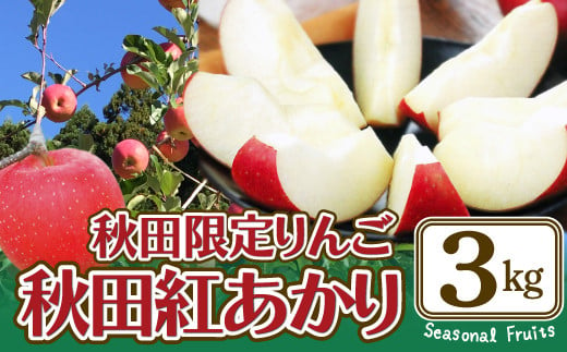 【数量限定】秋田限定りんご「秋田紅あかり」3kg 65P3405  380665 - 秋田県大館市