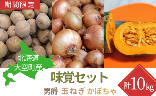 【期間限定】北海道大空町産味覚セット 計10kg 【 ふるさと納税 人気 おすすめ ランキング じゃがいも ジャガイモ いも 芋 男爵 たまねぎ 玉ねぎ 南瓜 かぼちゃ カボチャ 甘い カレー 北海道産 野菜 旬 北海道 大空町 送料無料 】 OSA045 1434667 - 北海道大空町