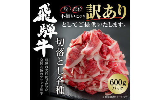 訳あり 飛騨牛 切落とし 600g 冷凍真空パック | 肉 お肉 切り落とし 薄切り すき焼き すきやき 黒毛和牛 和牛 人気 おすすめ 牛肉 ギフト お取り寄せ 7日以内お届け [S840] 1455187 - 岐阜県白川村