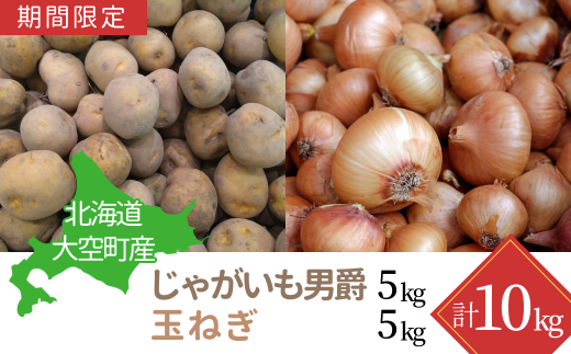 【期間限定】北海道大空町産 じゃがいも（男爵）5kg、玉ねぎ5kg 計10kg 【 ふるさと納税 人気 おすすめ ランキング じゃがいも ジャガイモ いも 芋 男爵 たまねぎ 玉ねぎ 甘い カレー 北海道産 野菜 旬 北海道 大空町 送料無料 】 OSA032 1115610 - 北海道大空町