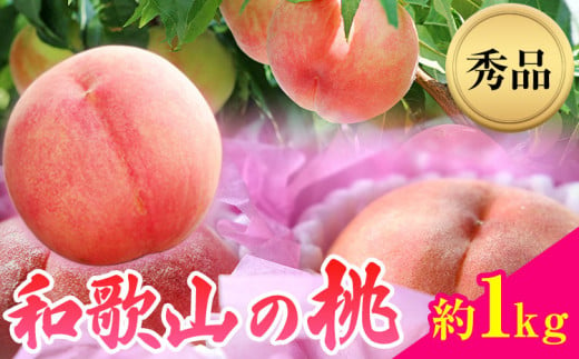 和歌山県産桃（もも）約1kg 秀品 前商店《6月中旬-8月上旬頃出荷》産地直送 もも モモ 果物 フルーツ