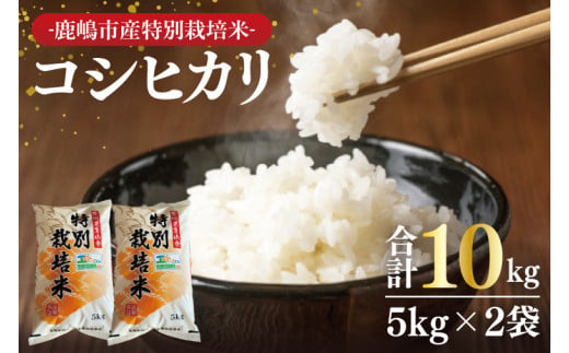 【令和6年産】鹿嶋市の子どもたちが食べている特別栽培米コシヒカリ10kg（5kg×2袋）【お米 米 こしひかり 特別栽培 有機肥料 有機栽培 鹿嶋市 茨城県 白米 新米 おにぎり ごはん 30000円以内 3万円以内】(KBS-7） 307180 - 茨城県鹿嶋市