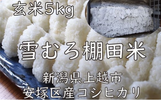 米 雪むろ 棚田米 コシヒカリ 5kg 玄米 こしひかり お米 こめ おすすめ ふるさと納税 ユキノハコ 新潟 新潟県産 にいがた 上越 上越産 713262 - 新潟県上越市