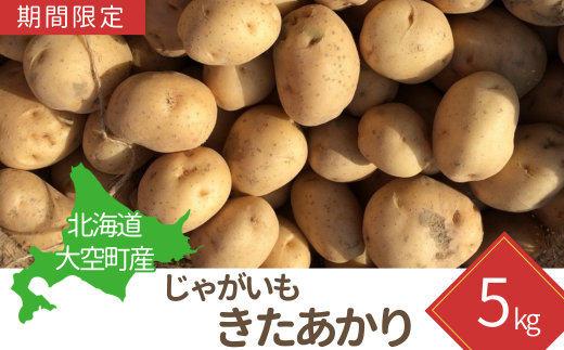 【期間限定】北海道大空町産じゃがいも（きたあかり）5kg 【 ふるさと納税 人気 おすすめ ランキング じゃがいも ジャガイモ いも 芋 きたあかり 5kg カレー 北海道産 野菜 旬 北海道 大空町 送料無料 】 OSA037 1434647 - 北海道大空町