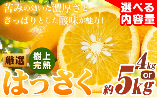 厳選 樹上完熟 はっさく 八朔 みかん 選べる内容量 4kg+120g 5kg+150g 傷み補償分 池田鹿蔵農園 @日高町[4月上旬-5月下旬頃出荷]和歌山県 日高町 送料無料 はっさくみかん ハッサク 厳選八朔みかん[配送不可地域あり]