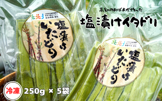 冷凍塩漬けイタドリ 250ｇ×5セット 高知県産 いたどり イタドリ - 高知県中土佐町｜ふるさとチョイス - ふるさと納税サイト