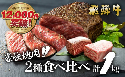 岐阜県白川村のふるさと納税 飛騨牛 ブロック肉 1kg (霜降り肉 赤身肉 500g×2 ) 訳あり 30000円 [S090]