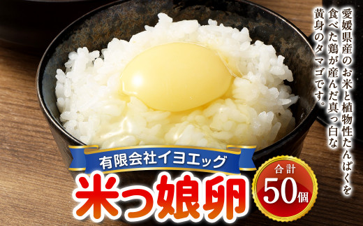 米っ娘卵 50個 セット (内割れ保証5個) たまご 卵 玉子 タマゴ【えひめの町(超)推し!(内子町)】 (485)