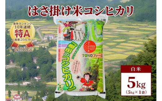 数量限定】令和5年産 新潟上越清里産 はさ掛け米コシヒカリ5kg(5kg×1袋)白米 こしひかり コシヒカリ 米 / 新潟県上越市 |  セゾンのふるさと納税