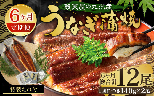 【6ヶ月定期便】鰻天屋の 九州産 うなぎ 蒲焼 約140g×2尾 セット