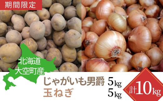 北海道大空町のふるさと納税 【期間限定】北海道大空町産 じゃがいも（男爵）5kg、玉ねぎ5kg 計10kg 【 ふるさと納税 人気 おすすめ ランキング じゃがいも ジャガイモ いも 芋 男爵 たまねぎ 玉ねぎ 甘い カレー 北海道産 野菜 旬 北海道 大空町 送料無料 】 OSA032