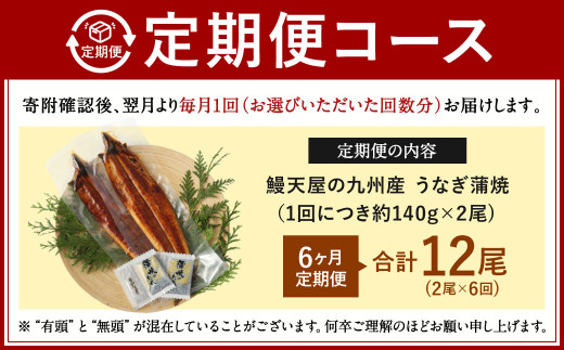 【6ヶ月定期便】鰻天屋の 九州産 うなぎ 蒲焼 約140g×2尾 セット