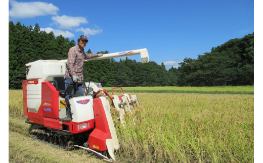 定期便 6回 隔月【2ヵ月毎定期便】標高200mで育てた棚田米 新潟県上越市中郷産 従来種 コシヒカリ 精米 5kg - 新潟県上越市｜ふるさとチョイス  - ふるさと納税サイト