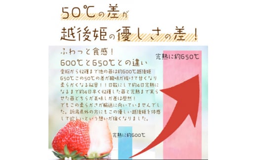 新潟県上越市のふるさと納税 いちご 新潟 雪国完熟越後姫桃薫 約200g×2P食べ比べセット イチゴ 苺 お取り寄せ ギフト 贈り物 上越